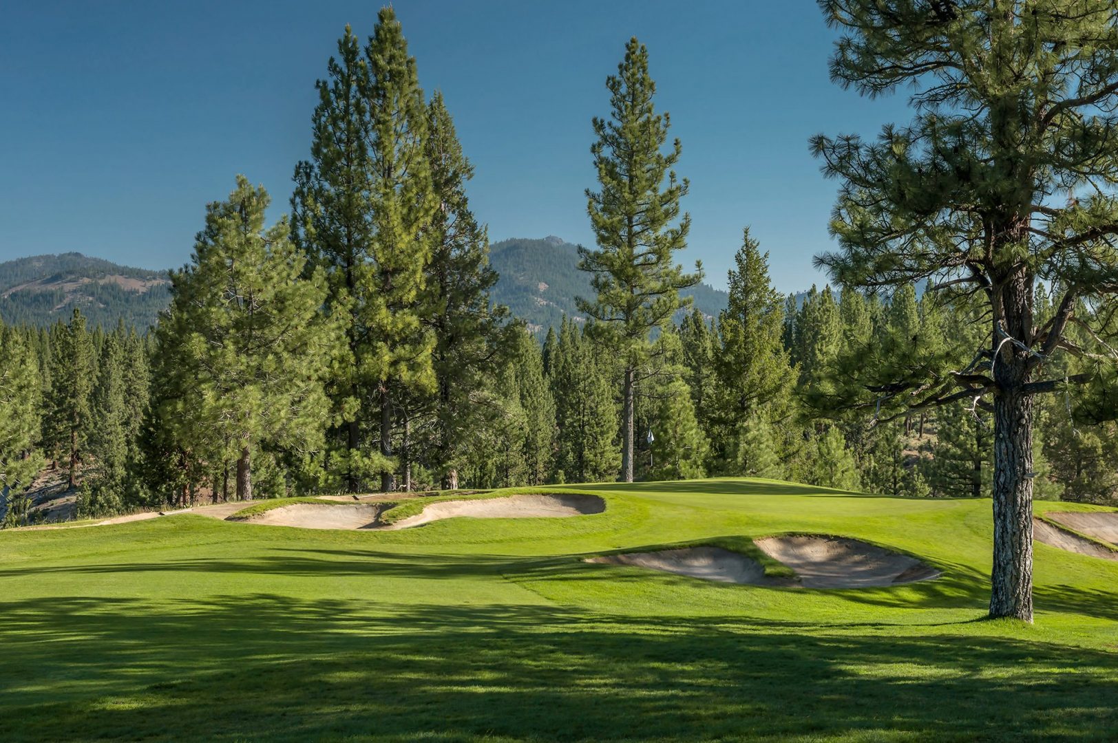 Hole 11 The Dragon Golf Course