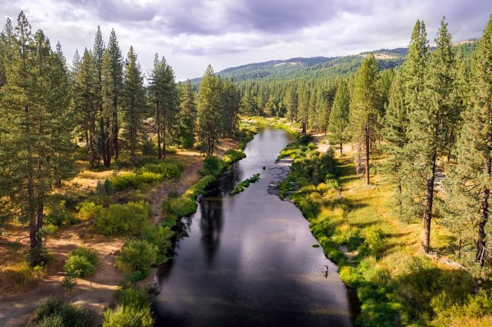 Fly Fishing Feather River Scenic
