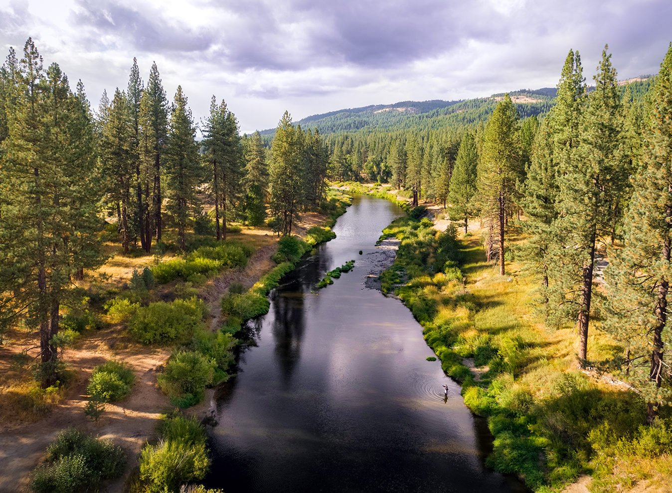 Fly Fishing Feather River Scenic