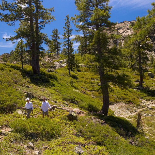 Hiking Sierras Plumas Trails